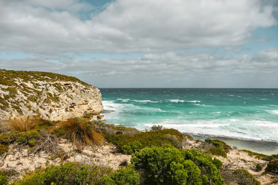 Dramatic coastal cliffs and native bushland on Kangaroo Island