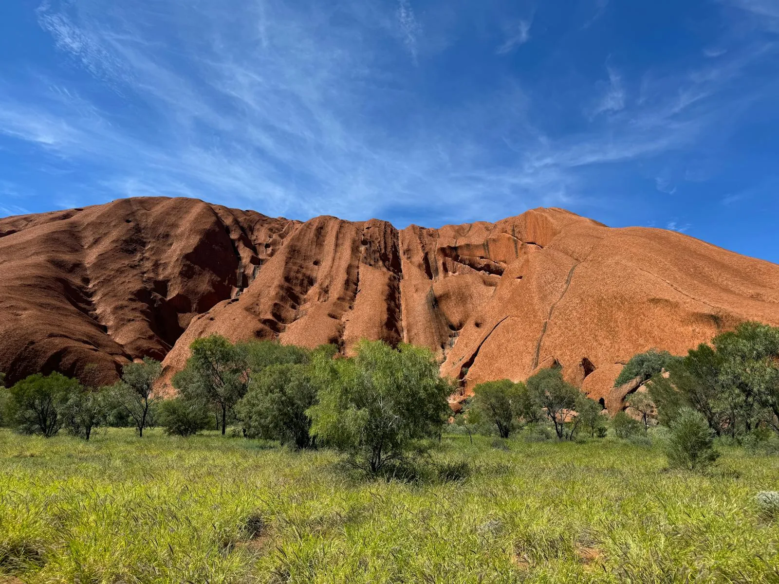 Stunning view of Uluru's red rock under a clear blue sky with lush greenery.