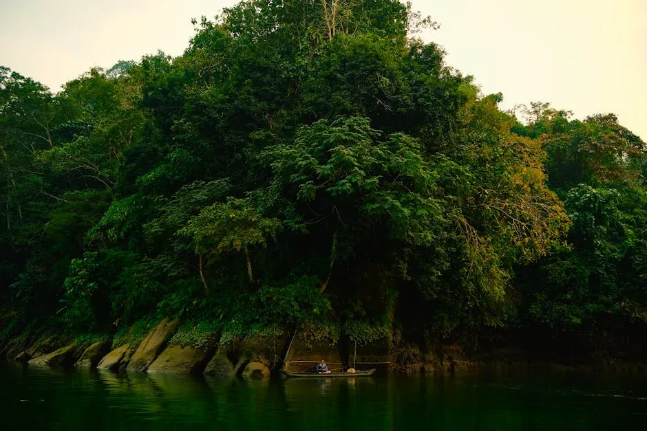 River scene in northern Congo