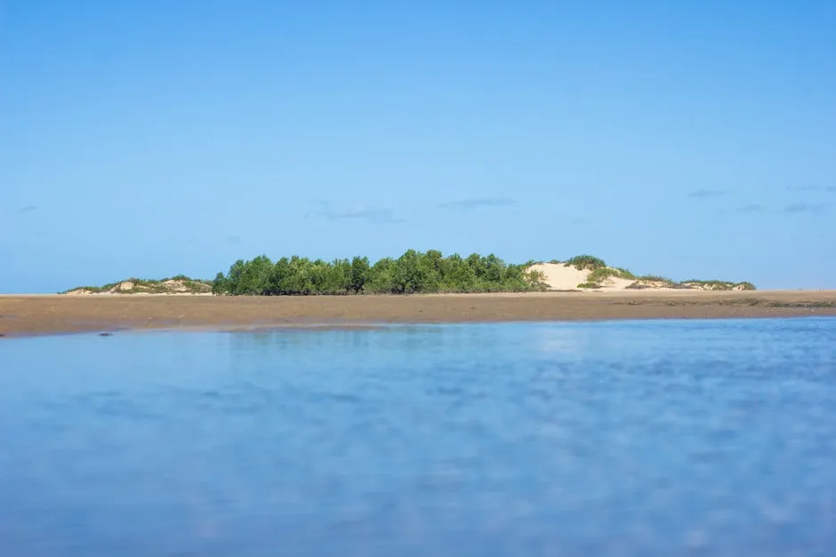 Beach and mangroves at Conkouati-Douli