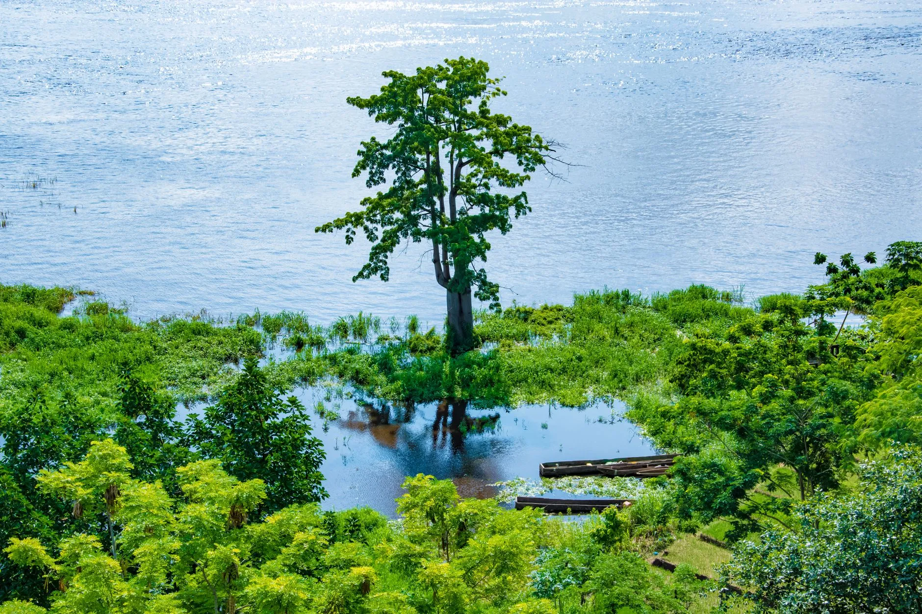 Congo River landscape