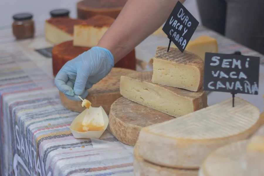 French artisanal cheese at a market