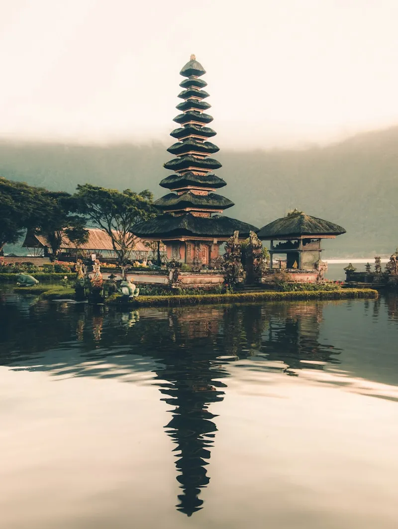 Terraced rice paddies in Bali with palm trees