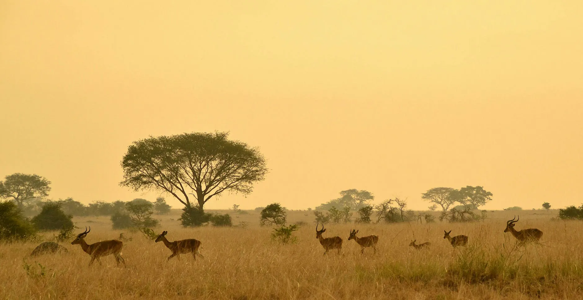 Northern Savanna & Korhogo