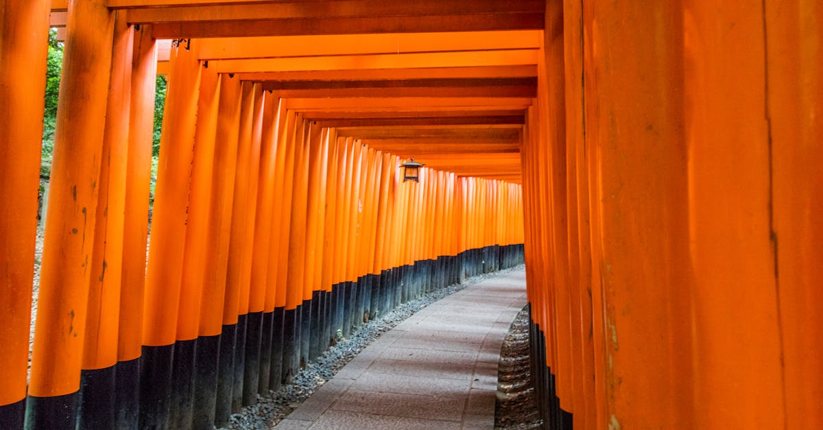Fushimi Inari Shrine in Kyoto &mdash; thousands of vermilion torii gates