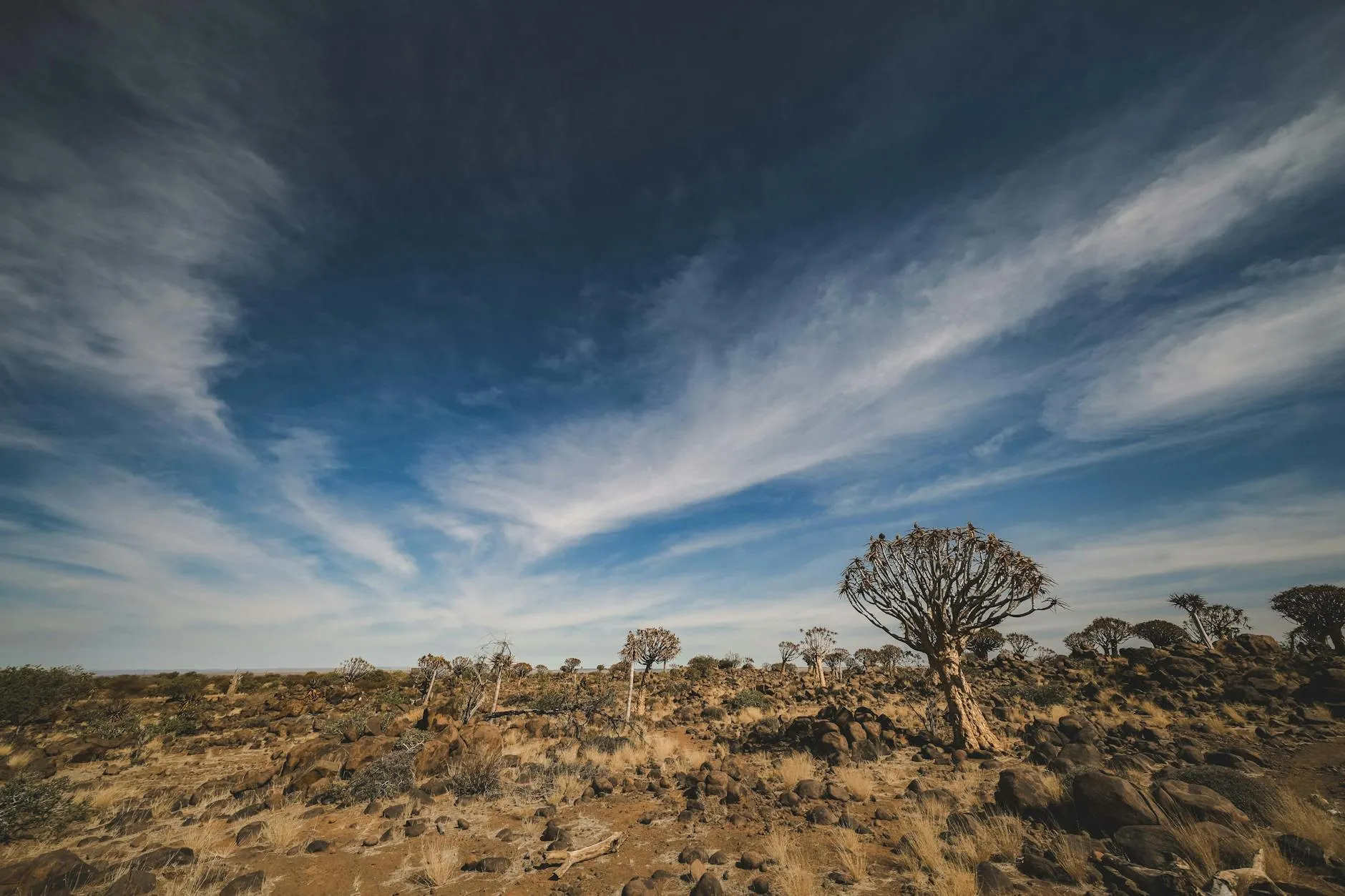 Zambezi Region (Caprivi Strip) landscape