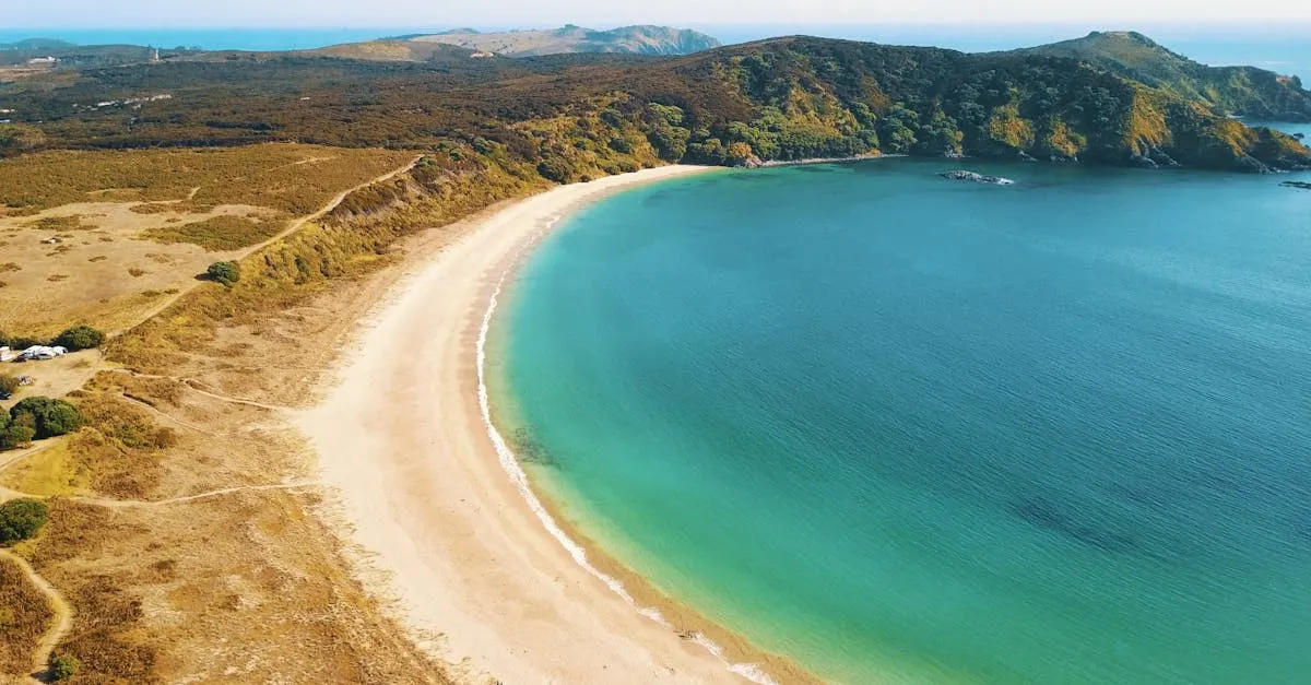Remote New Zealand coast