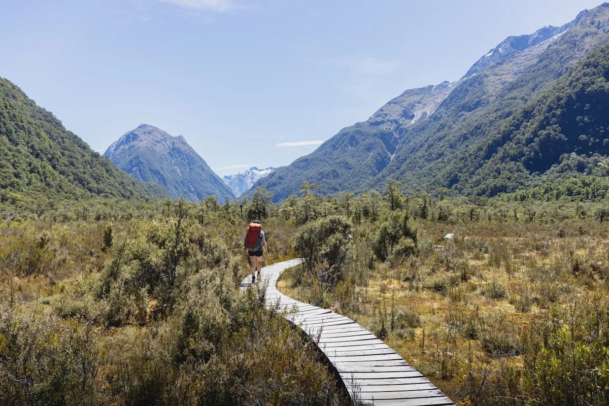 Hiker following boardwalk path through Milford Track mountains