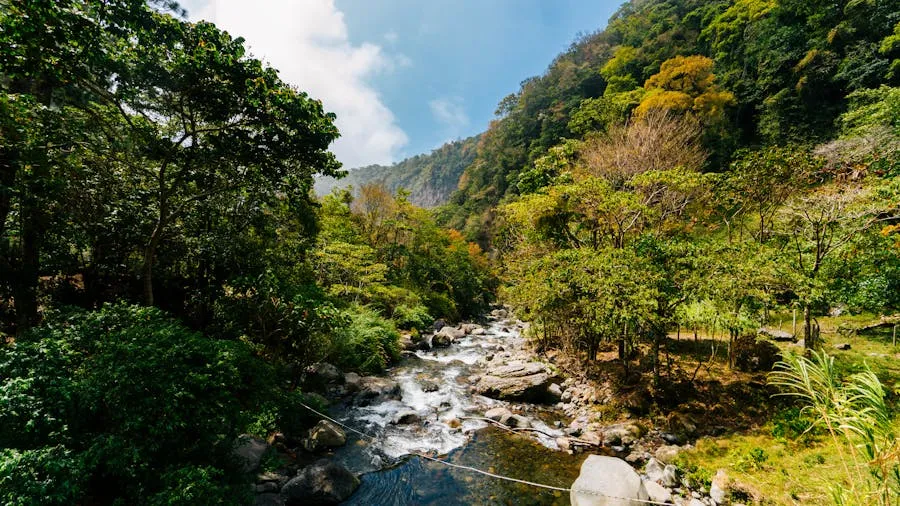 Lush green highlands around Boquete with coffee plantations