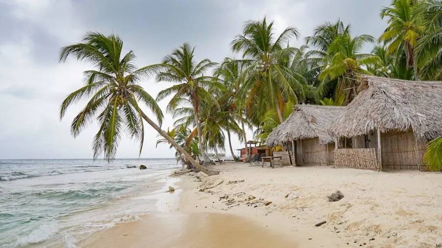 Palm-fringed San Blas island with crystal clear water