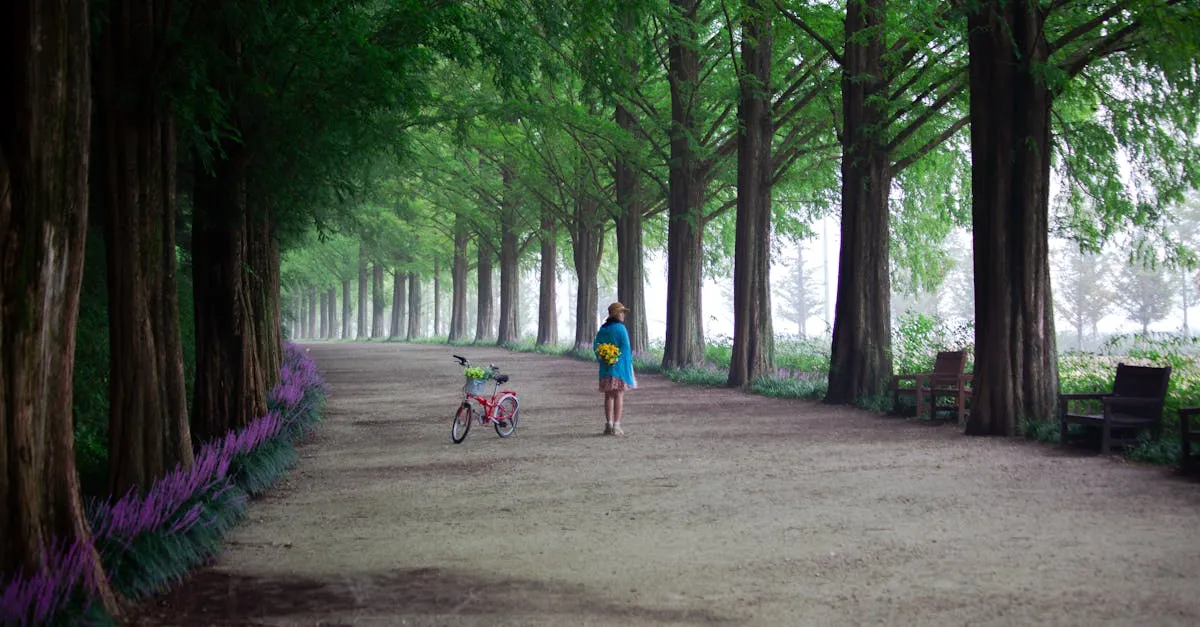 Damyang bamboo forest