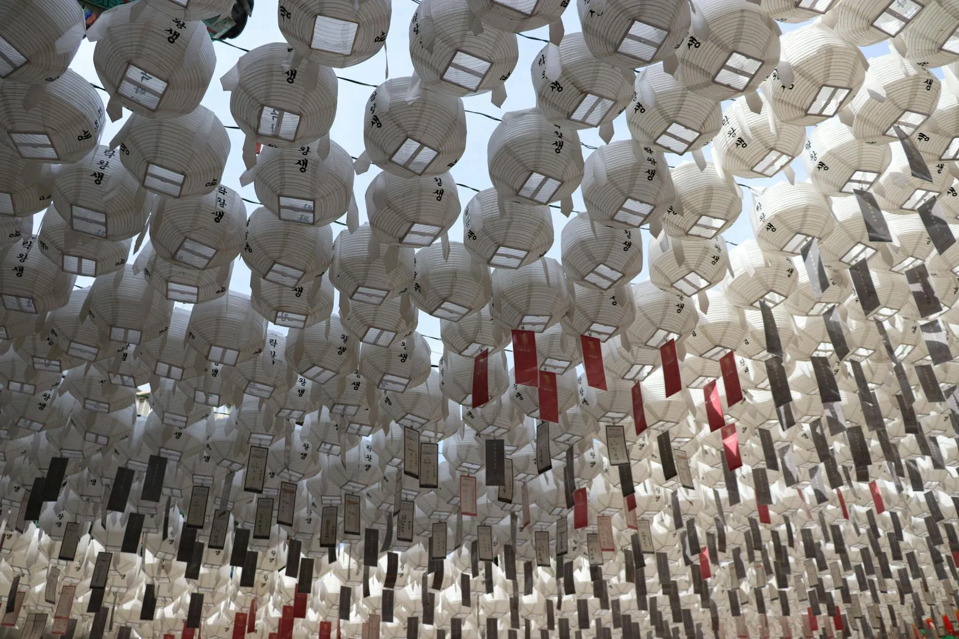 Rows of traditional paper lanterns hang outdoors in a festive display, capturing cultural heritage and artistry.