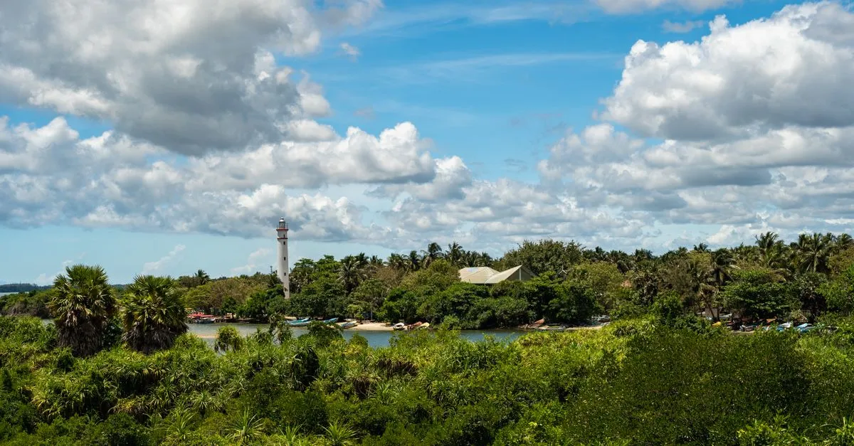 Mannar Island
