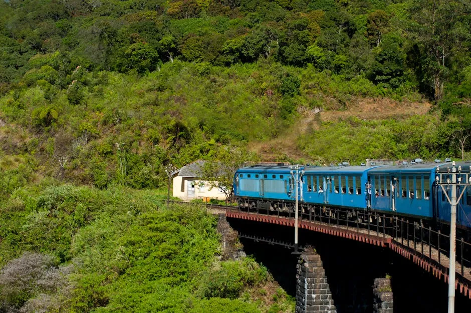Scenic train journey through tea plantations