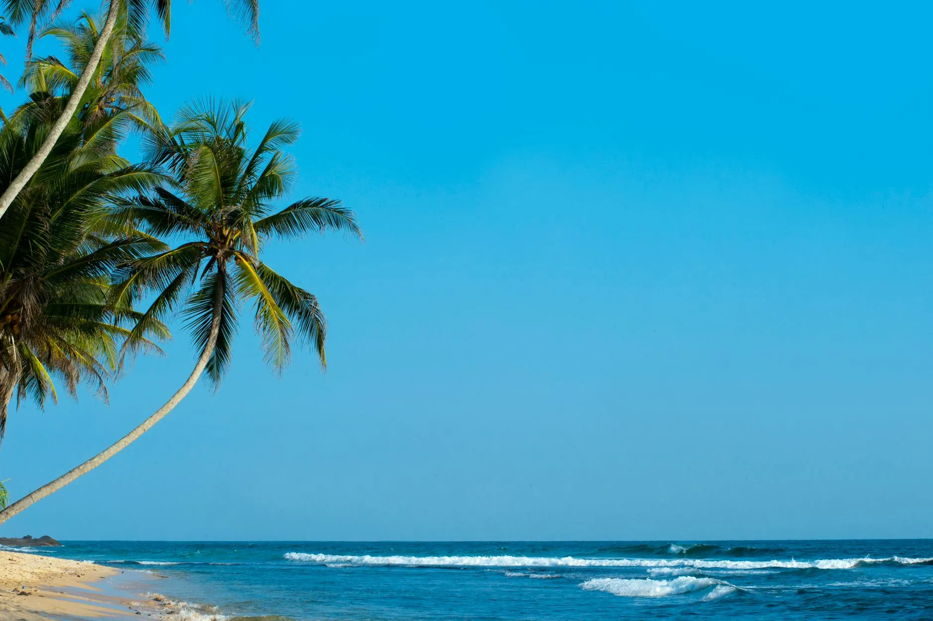 South Coast & Beaches