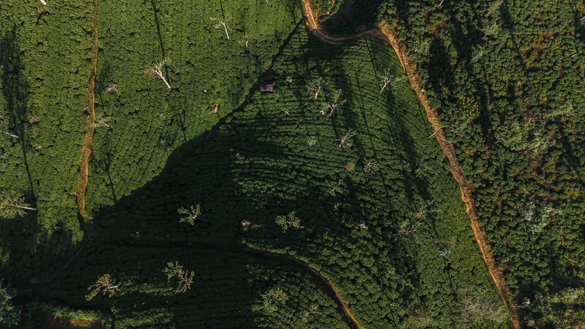 Aerial view across the Sri Lankan landscape from coast to hill country
