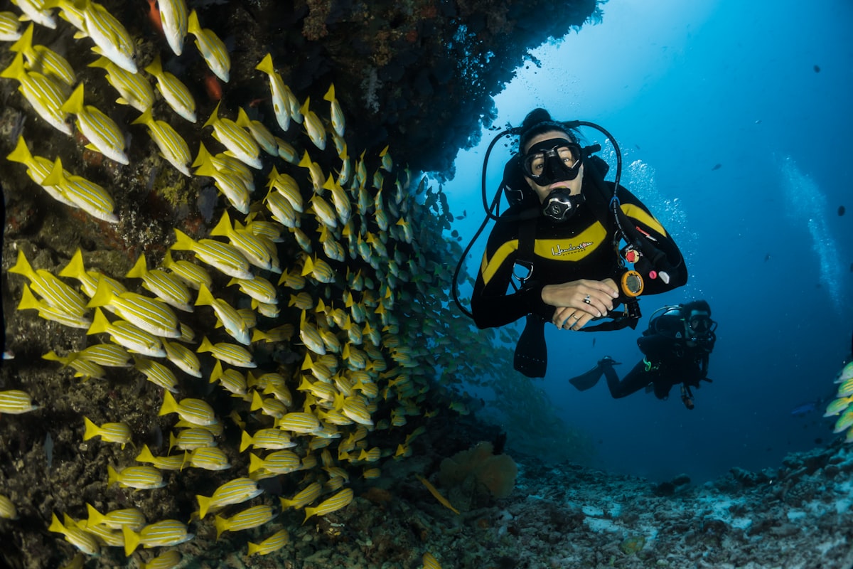 Underwater reef diving