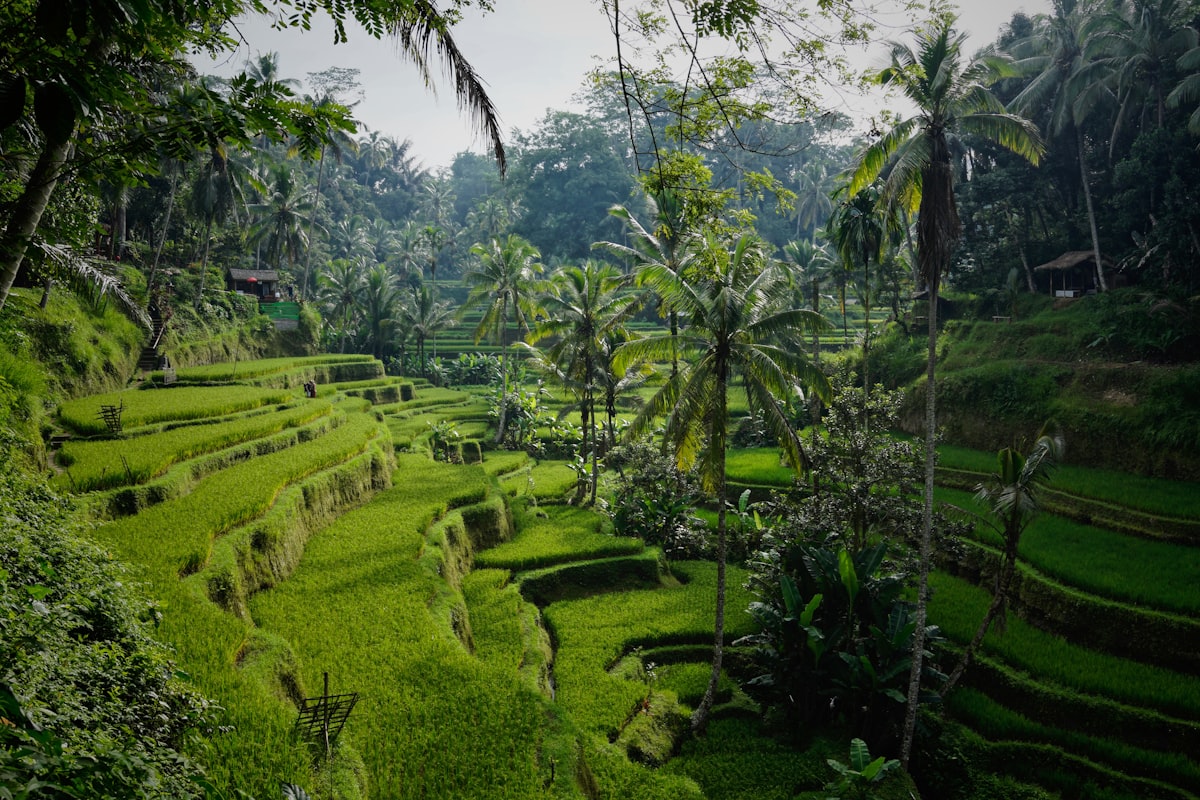 Indonesia landscape