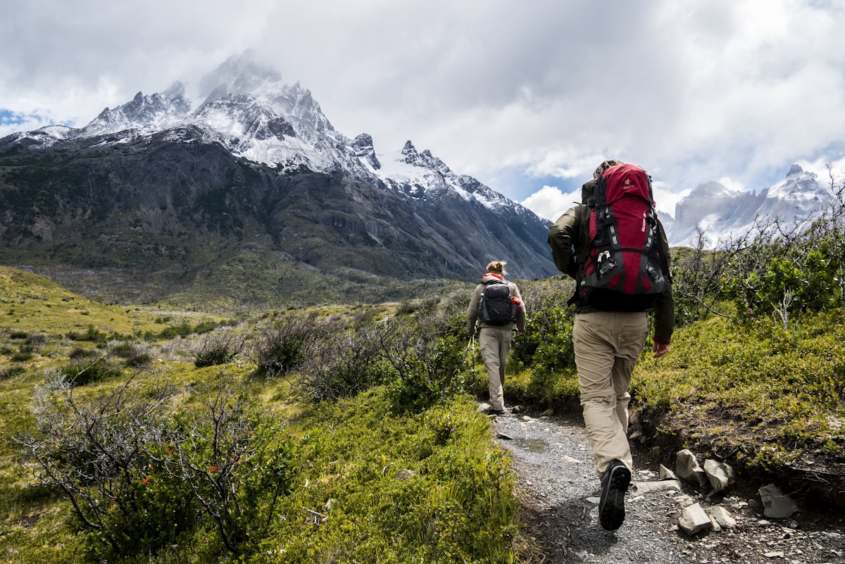 New Zealand hiking trail