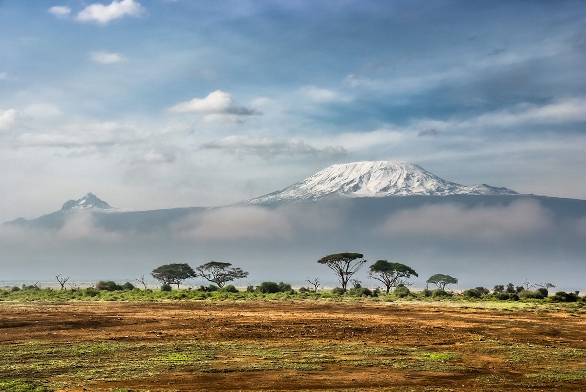 New Zealand North Island landscape