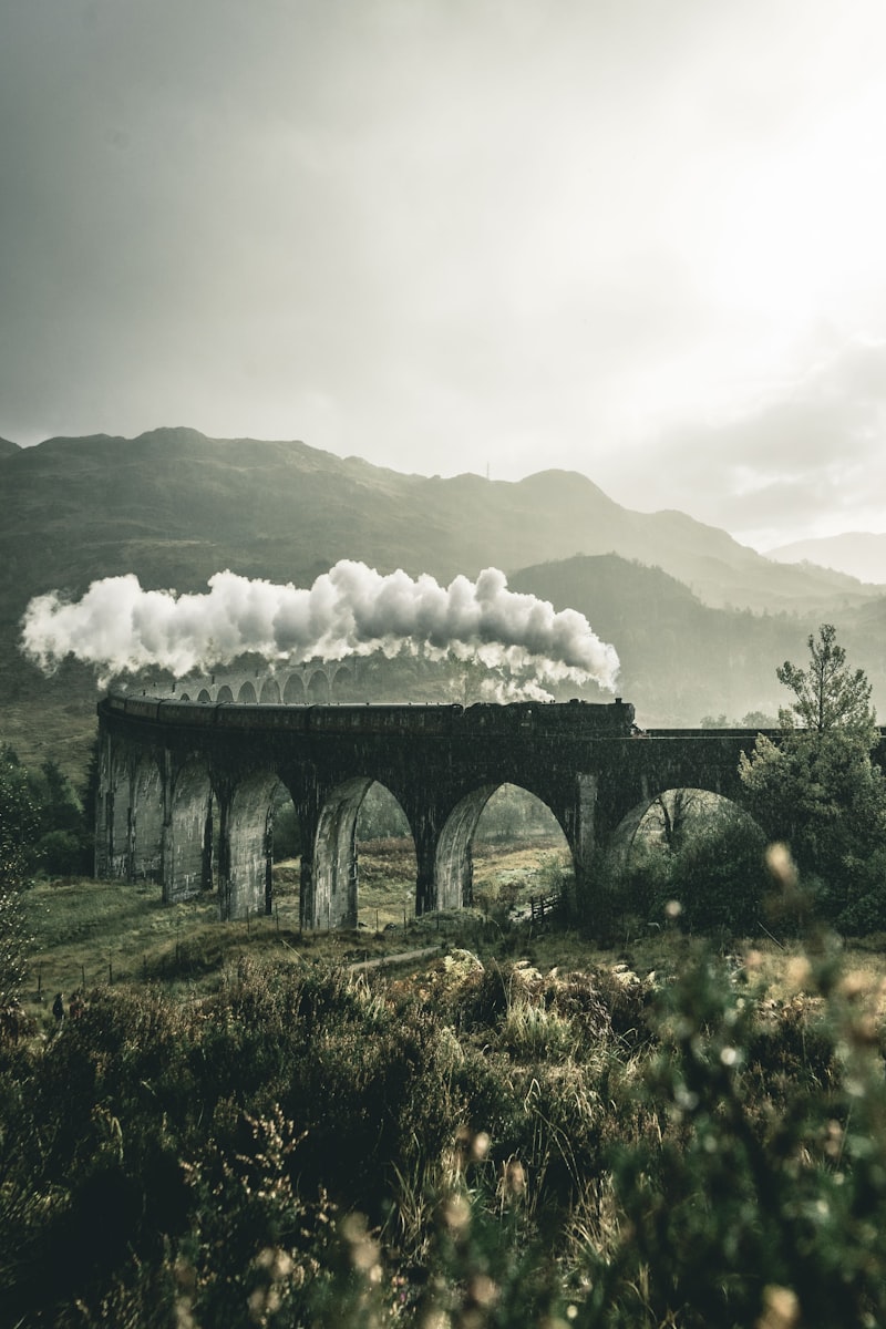 Blue train winding through Sri Lanka's lush hill country tea plantations